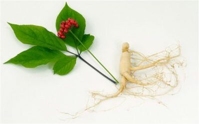 Stimulants naturels du pouvoir chez les hommes